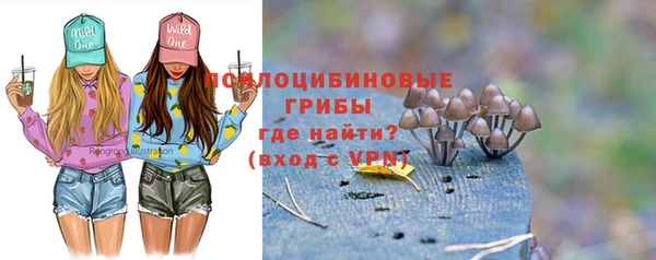 ALPHA-PVP Краснослободск