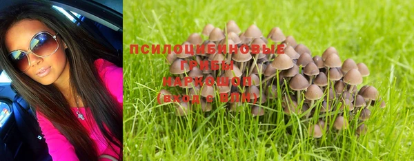 стафф Костерёво