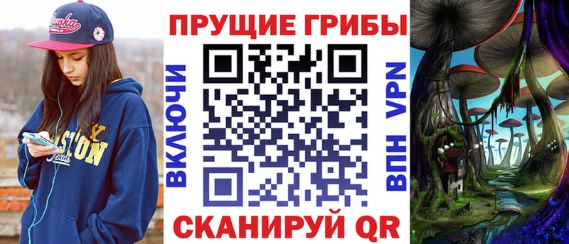 как найти   Мосальск  Галлюциногенные грибы мицелий 